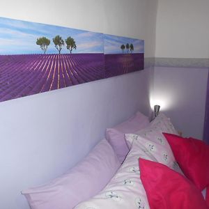Robby'S House Bed & Breakfast